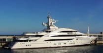AMEVI - Profile